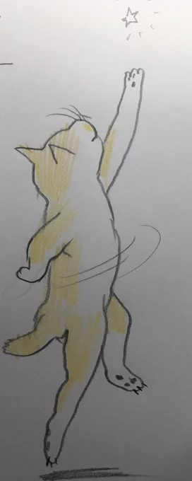 つまり何が言いたいかというと…お仕事の方から甘いものやお酒などいただく機会が多いのですが、本当に食べれないのでお気遣いせずに…。ちなみに下戸です。食生活、一日に一回は食べなきゃな…みたいなダメな感じだったのですが、今3食少しづつバランスよく食べるようにしたらすごく元気に… 