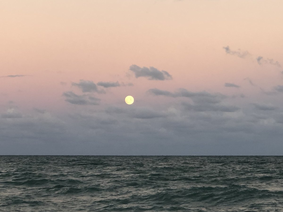 If you want to stay in touch off (or after) Twitter, the best way is to join my awesome weekly newsletter, "5 quick things" 💗 

bit.ly/3fxfP1W