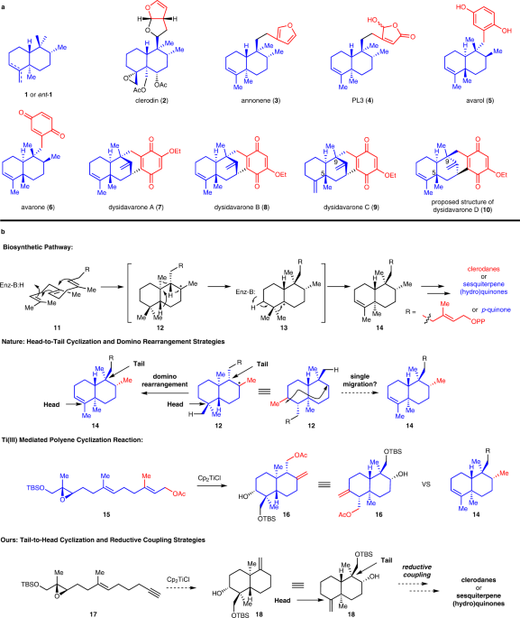 ChemistryNews's tweet photo. Modular total syntheses of trans-clerodanes and sesquiterpene (hydro)quinones via tail-to-head cyclization and reductive coupling strategies https://t.co/P13VvmfZDG https://t.co/XHPqp5nWQ2