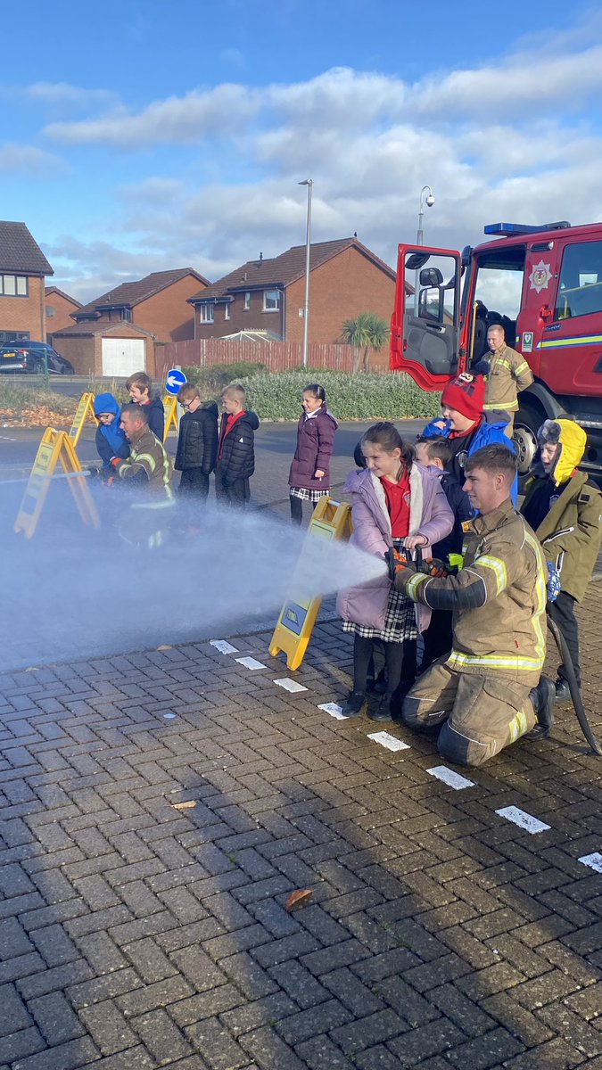 Primary 3 tweet media