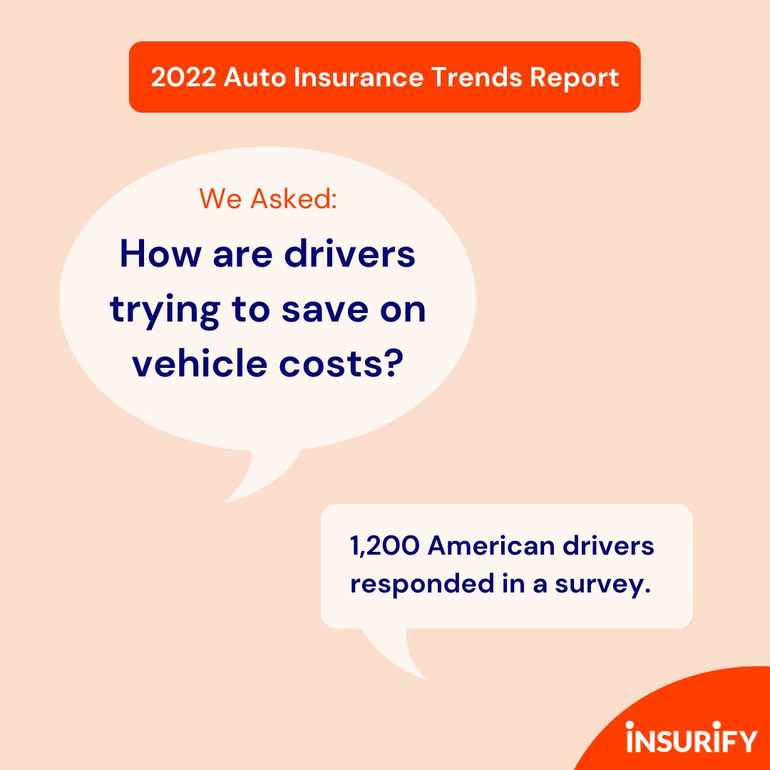 insurify tweet media