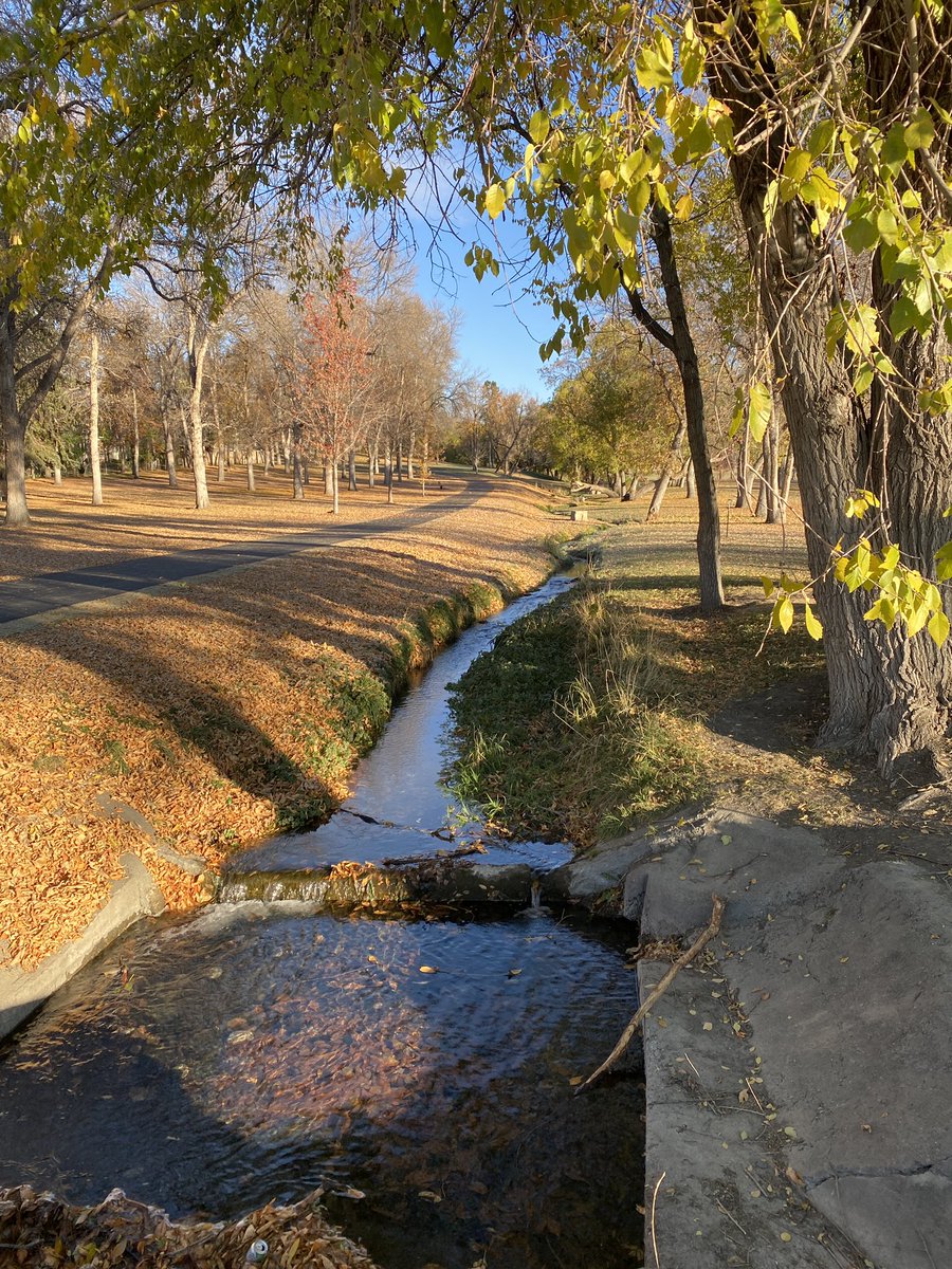 Students are collecting data at the park so this is my office for the day. Don’t feel bad for me.

#bealsscience #scienceteacher #fallcolors