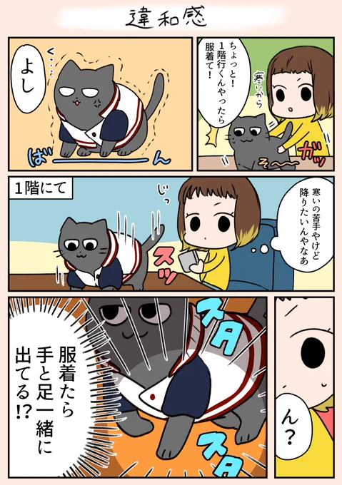 「違和感」
最近発見した事です…😅

#猫 
#日常
#漫画がよめるハッシュタグ 