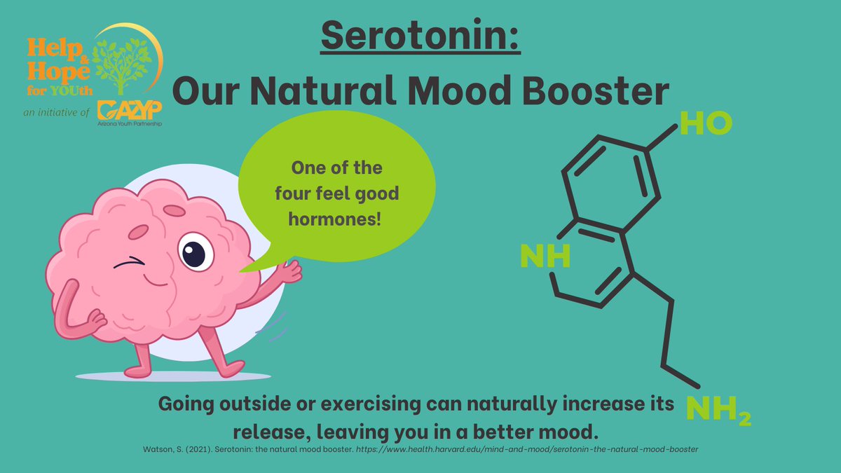 HelpHopeYOUth's tweet photo. DID YOU KNOW?

Take a minute or two outside today. It can put you in a better mood!

#Mentalhealth #serotonin #MentalHealthMatters https://t.co/aaTpjKHkvR