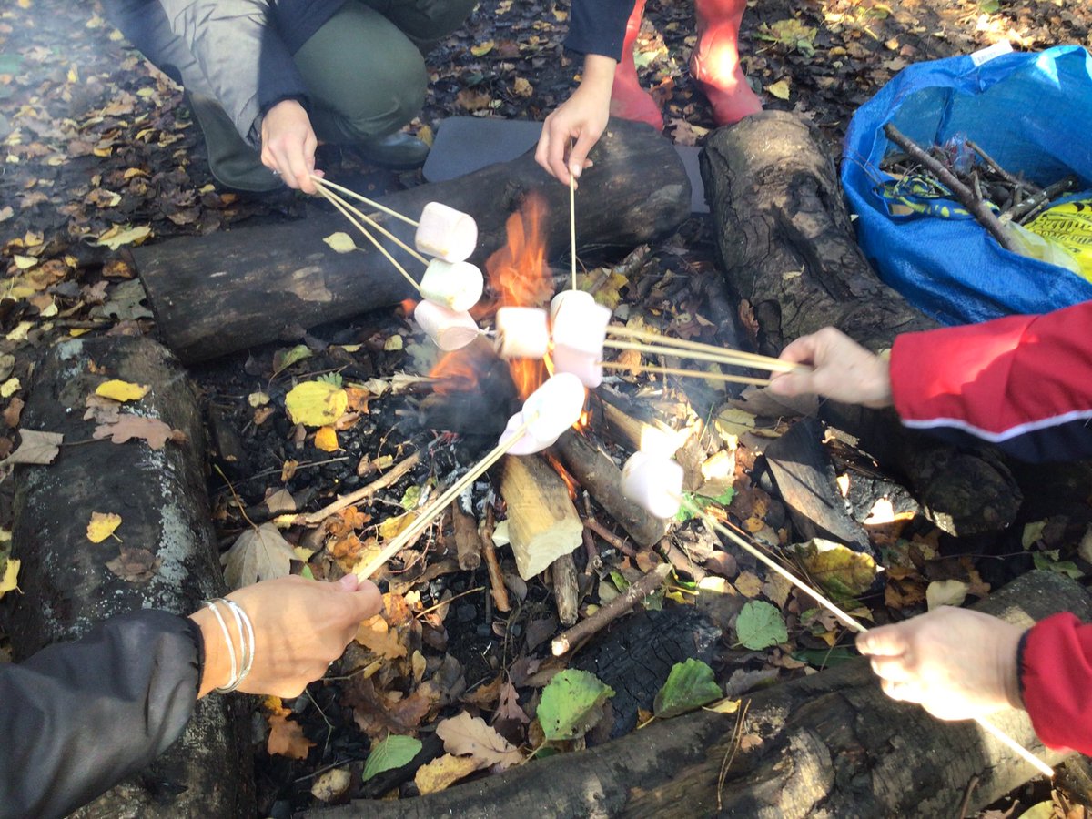 HawthornsEY's tweet photo. Today was the Early Years project day. Reception children started the day by decorating a bonfire cake and then we met the Rainbow and Ark children in the woods. The children enjoyed singing songs around a bonfire and all got to eat a toasted marshmallow. @HawthornsSchool https://t.co/43GOcHKvSP