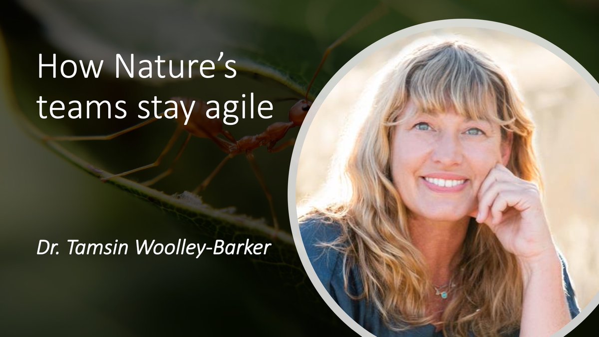 It's almost time to party and celebrate the end of the #AgileOnlineSummit. For the closing keynote, we learn about how Nature is Agile with great examples by Dr Tamsin Woolley-Barker, an evolutionary biologist and anthropologist! Wow! bit.ly/AgileOnlineSum…