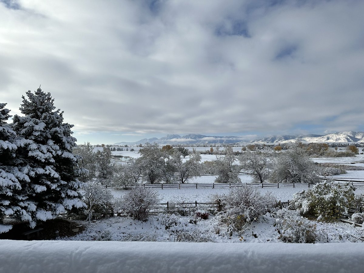 Dan Putt tweet media