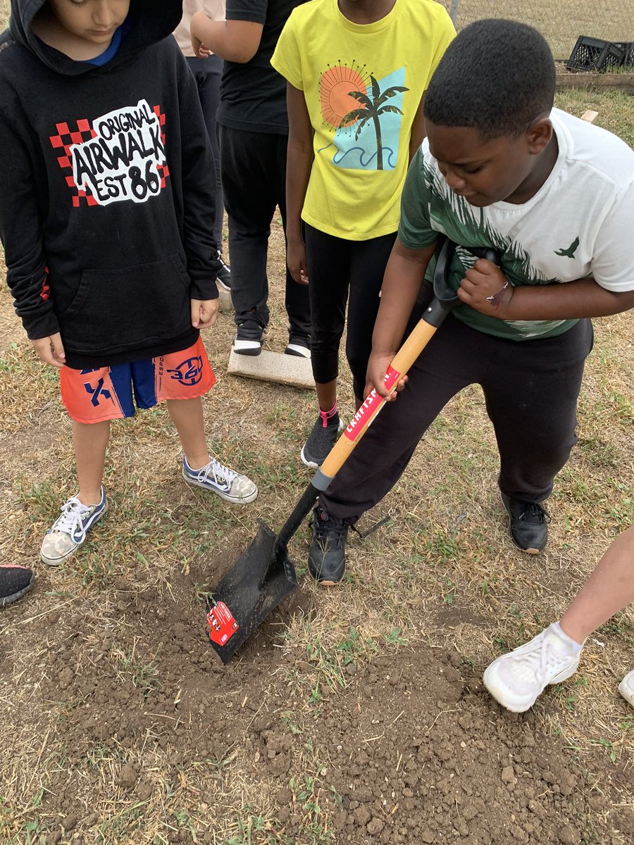 BoldtElemGarden's tweet photo. Students @NISDBoldt planted a #NativeTexas Mountain Laurel in the garden today for #TexasArborDay2022 ! #CANOPY #TexasArborDay @NISDElemEnviron @ReadWriteMrsJ @TXForestService @nature_tx @BexarBranches @NISD @TexasMasterNat @SollarsAmalia @arborday https://t.co/uKMlg5KfIg