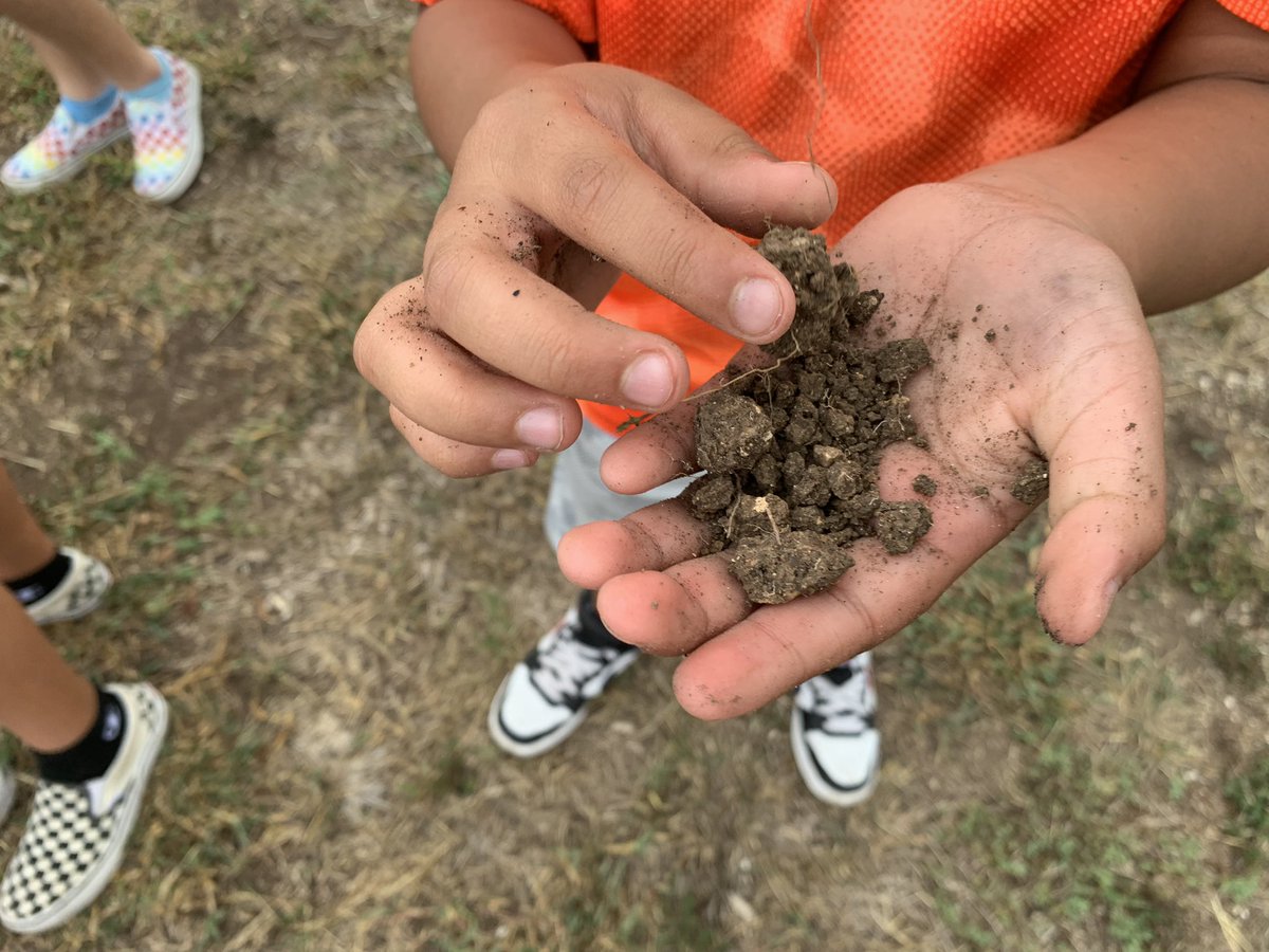 BoldtElemGarden's tweet photo. Students @NISDBoldt planted a #NativeTexas Mountain Laurel in the garden today for #TexasArborDay2022 ! #CANOPY #TexasArborDay @NISDElemEnviron @ReadWriteMrsJ @TXForestService @nature_tx @BexarBranches @NISD @TexasMasterNat @SollarsAmalia @arborday https://t.co/uKMlg5KfIg