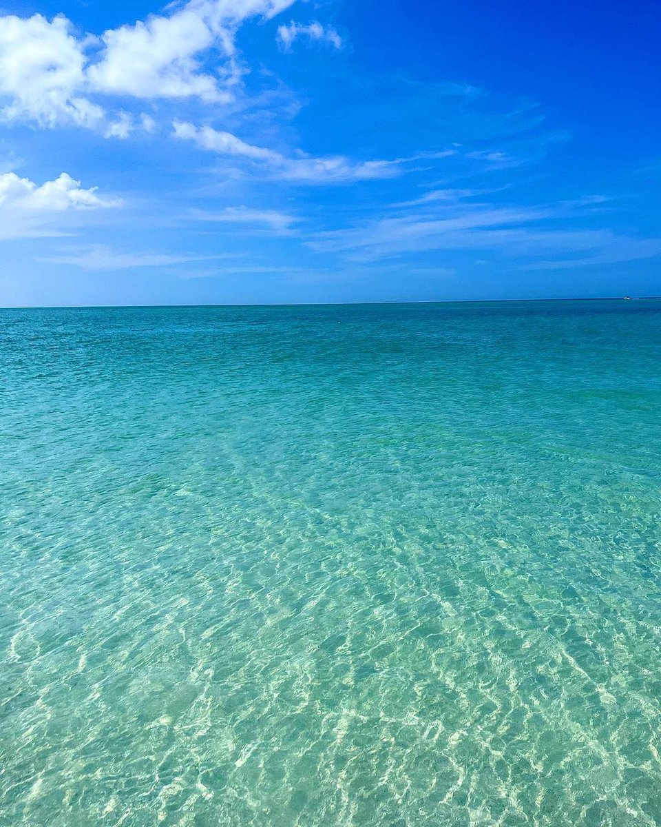 Anna Maria Island Chamber tweet media