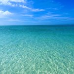 Photo by Anna Maria Island Chamber (@amichamber)