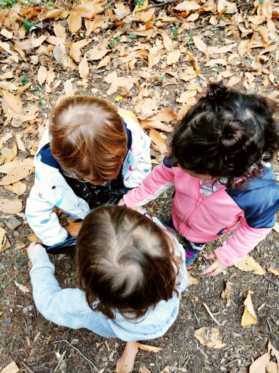 Els infants de tota l'escola van poder fer, la setmana passada, una passejada per la tardor a partir de la seva pròpia tria de contes d'aquesta època de l'any 📚

Ahir, els d'EINF van poder viure-la passant un bonic dia al Montseny 🍂🍁🍄

Seguirem celebrant la tardor!