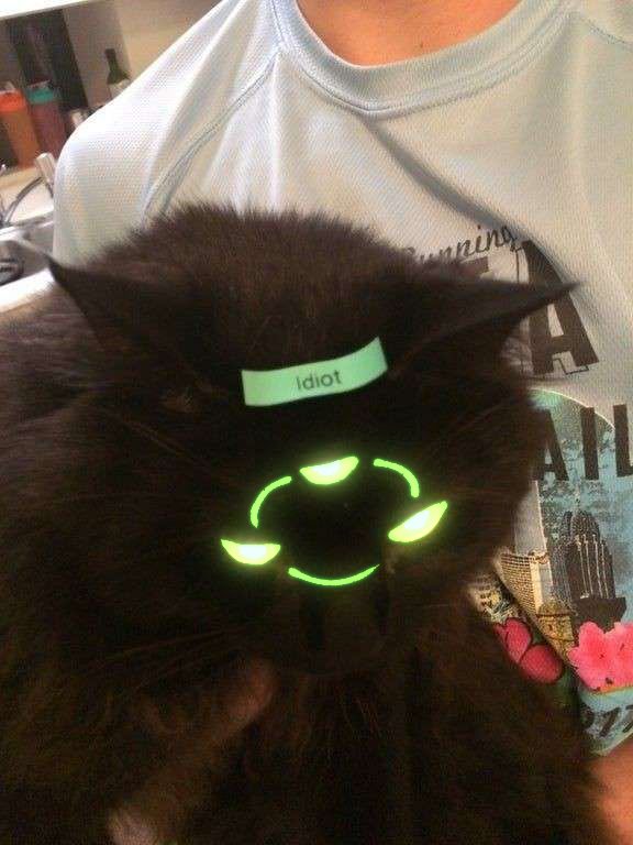 Me after making VS Nikko have more than 40 playable songs in total then feeling tired over the idea of making sprites for them