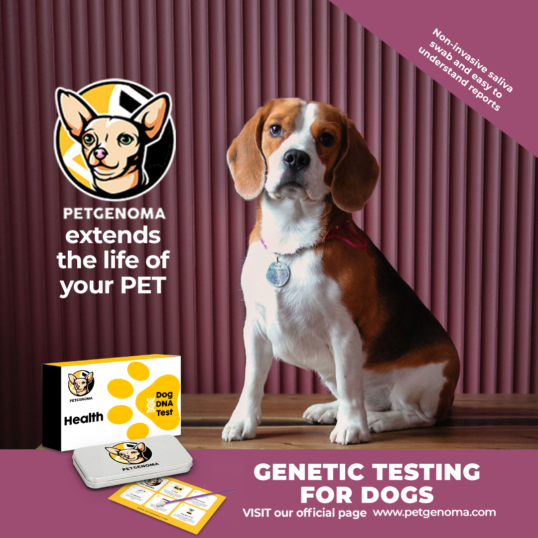 petgenoma's tweet photo. Don't let diseases define your pet's tomorrow, Invest in your pet's future contact us #PetGenoma #DogGenetics #DogLovers #HealthyDog ๐จโ๐ฉโ๐งโ๐ฆ ๐ถ โค๏ธ ๐จโโ๏ธ https://t.co/Kl0XTPycqm