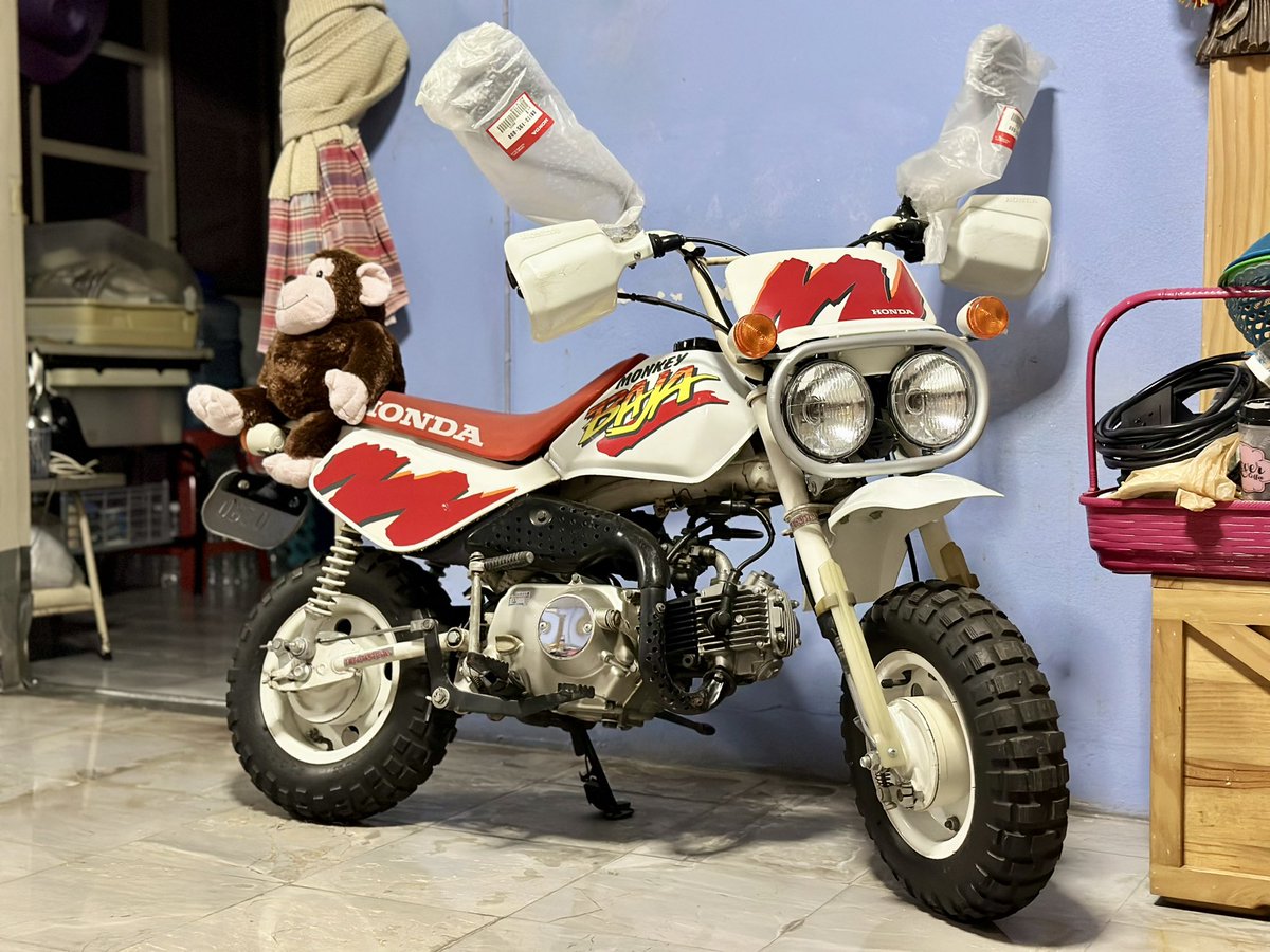 Dio Baja/Monkey Baja Club tweet media