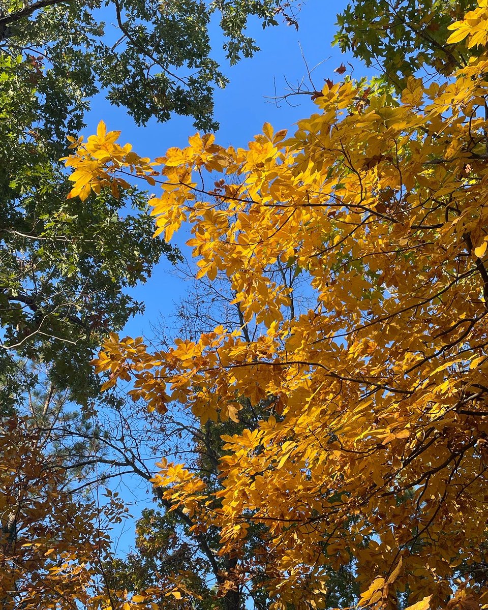 montyart's tweet photo. So thankful to share these beautiful moments with my parents once again at Occoneechee State Park. It has always been a passion of ours to visit and support various @vastateparks to take in all Mother Nature provides while sharing awesome times together. #camplife https://t.co/5ocFfAXm1K