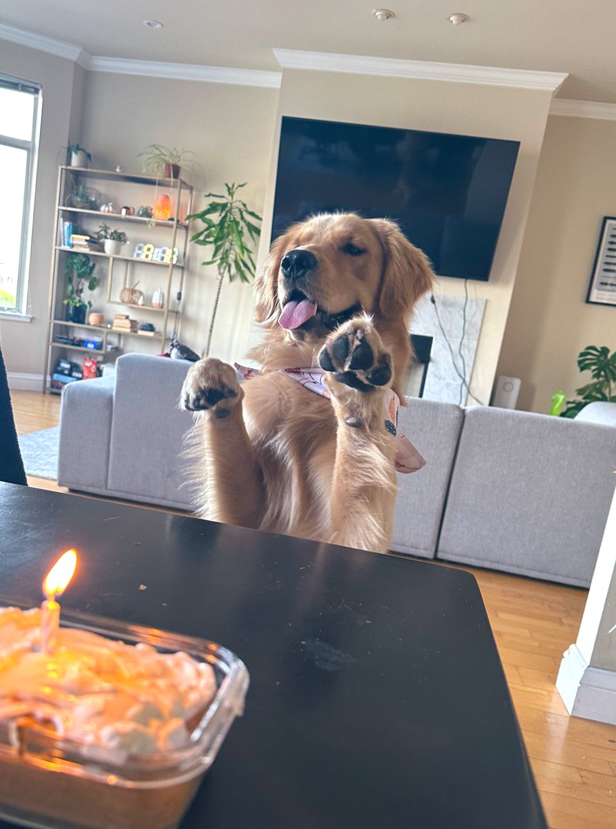 hbd bug