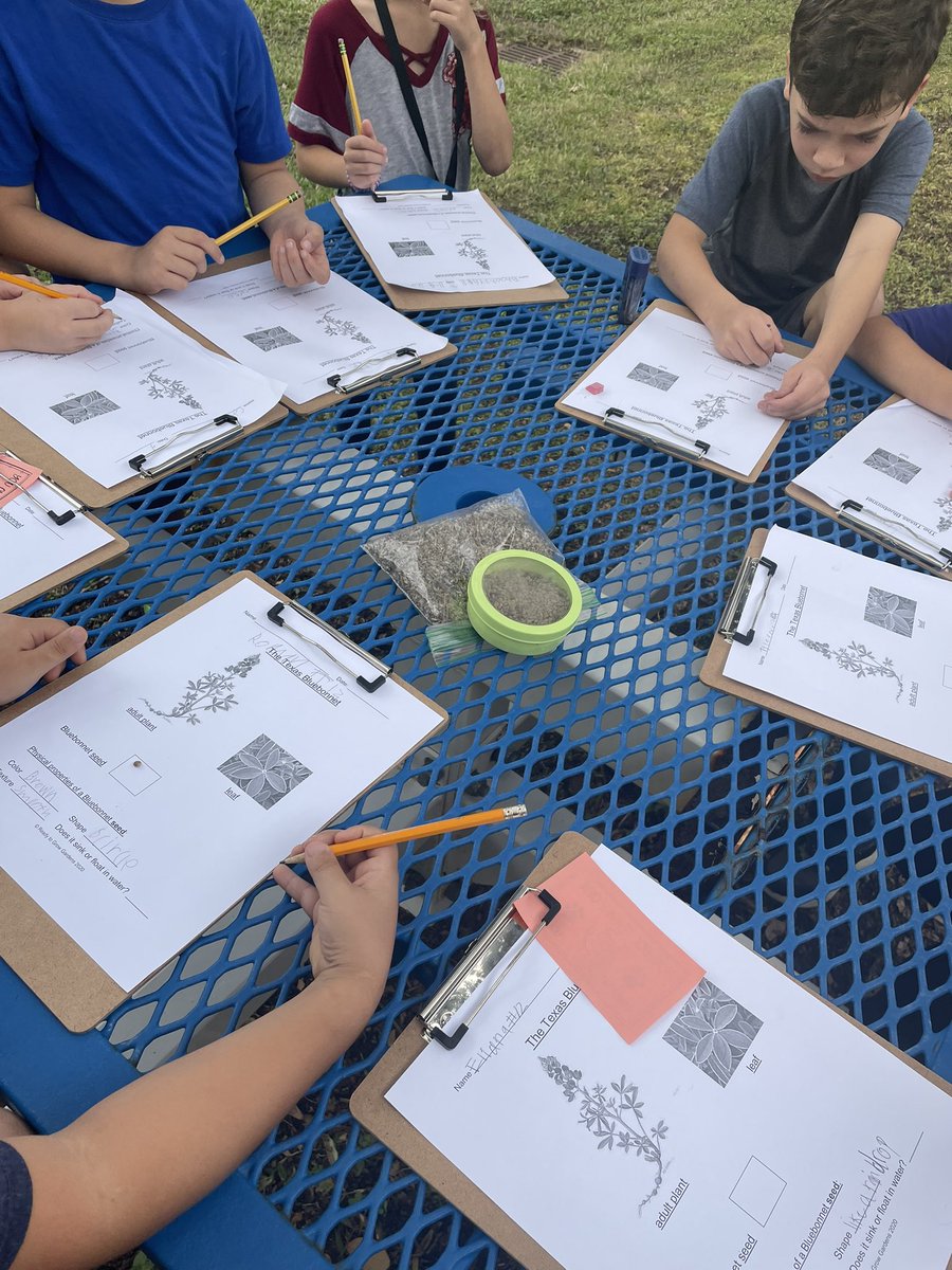 MrsWolfRTGG's tweet photo. Today is the perfect day to toss some bluebonnet seeds out since rain is coming! @Hamilton_Lions @CyFairISD @readygrowgarden @CFISDScience @CFISDprin #hornworm #investigate #pollinator #bluebonnet https://t.co/TFgtQRdJAh