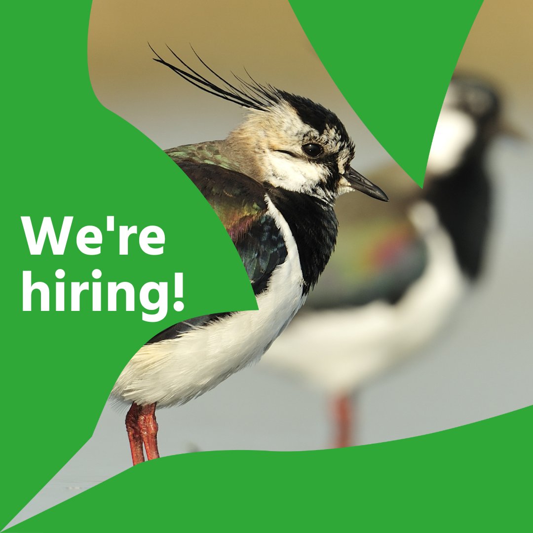BirdLifeEurope's tweet photo. We are hiring a consultant to support the coordination of our Agriculture Task Force

Read all the details here
➡️https://t.co/oLd4GjQ3n3

📅 Application deadline: 15 November

🐦Spread the word! 🐦
#greenjobs #NGOjobs #jobsearch #BrusselsCareers #JobAlert #EUJobs #EUcareer https://t.co/KS1VzaKHcw