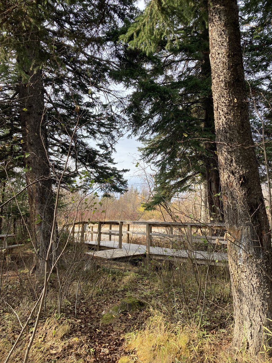 Polly Foster (@polly__foster) on Twitter photo Coming to the end of an incredible 4 weeks in Happy Valley-Goose Bay for the #MPhase measurement campaign, where Iβve been taking #aerosol samples on the <a href="/faam146/">FAAM Airborne Laboratory</a> aircraft. This project is part of <a href="/CloudSenseNERC/">CloudSenseNERC</a>, aiming to reduce uncertainty in climate sensitivity. Coming to the end of an incredible 4 weeks in Happy Valley-Goose Bay for the #MPhase measurement campaign, where Iβve been taking #aerosol samples on the <a href="/faam146/">FAAM Airborne Laboratory</a> aircraft. This project is part of <a href="/CloudSenseNERC/">CloudSenseNERC</a>, aiming to reduce uncertainty in climate sensitivity.