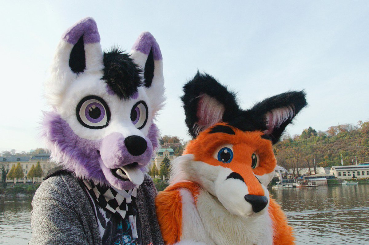 Zive (@zivethefurry) on Twitter photo Hallowen outing was awsome met a lot people that i only know online. The foxxie next to me <a href="/LachimF/">Lachim_Fox</a>
#FursuitFriday #furry #fursuit Hallowen outing was awsome met a lot people that i only know online. The foxxie next to me <a href="/LachimF/">Lachim_Fox</a>
#FursuitFriday #furry #fursuit