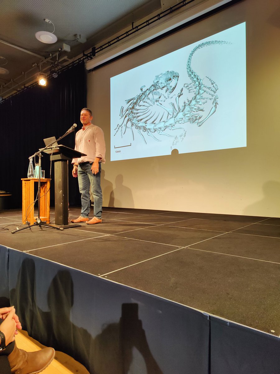 Pamela Lithgow tweet media