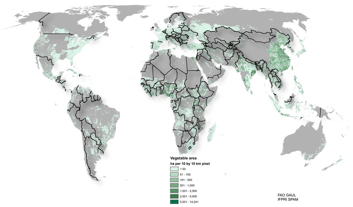 kai_sonder's tweet photo. #30DayMapChallenge Day 4 Green
Global vegetable prod #mapspam @IFPRIResearch https://t.co/Hh6LX4QZFQ