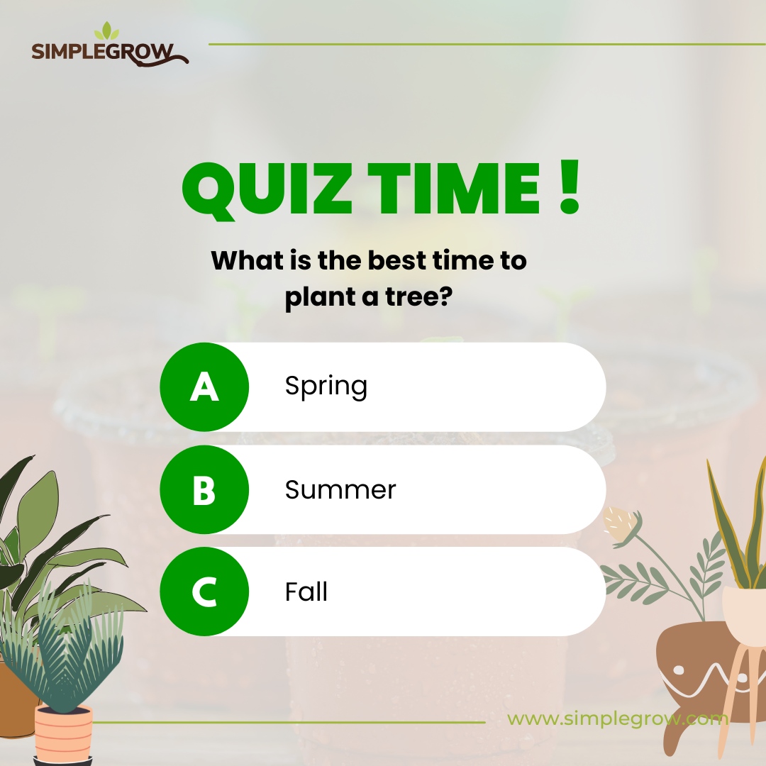 Simple Grow tweet media