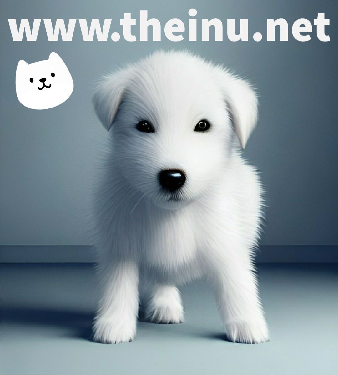 INU PIONEER tweet media