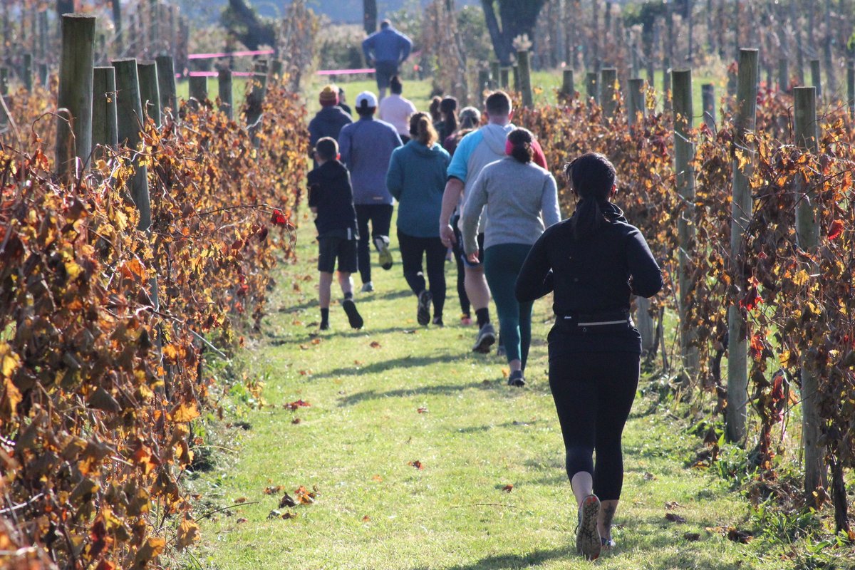 Run the Vineyard this Sunday! - mailchi.mp/unionvillevine…