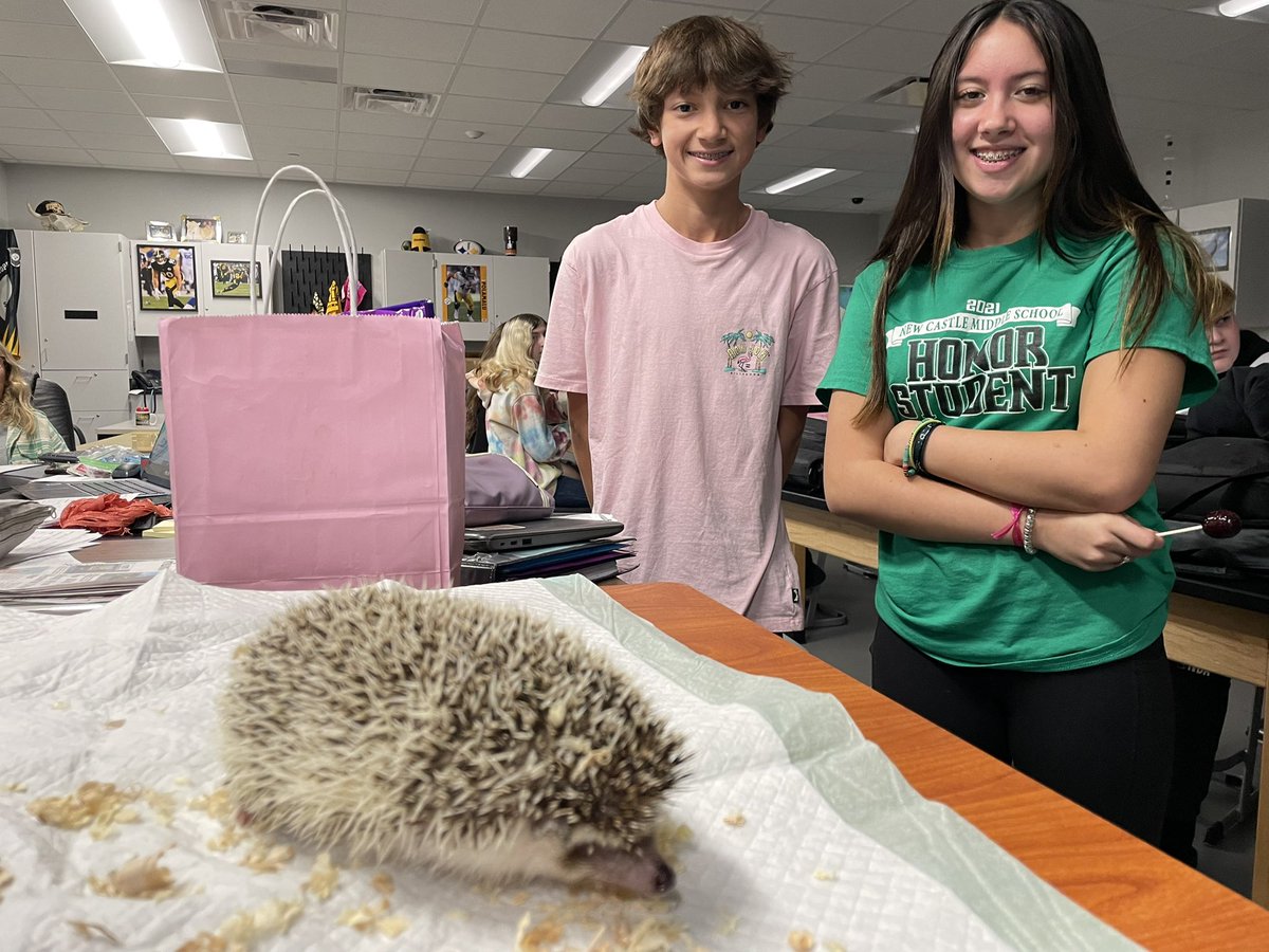 MrAMcD's tweet photo. Just your friendly neighborhood hedgehog.
@JeJmac @JWhiteNCMS #abetterncms #destinationgraduation #buildingbetterfutures #notsonic https://t.co/9X2zAF2X3M