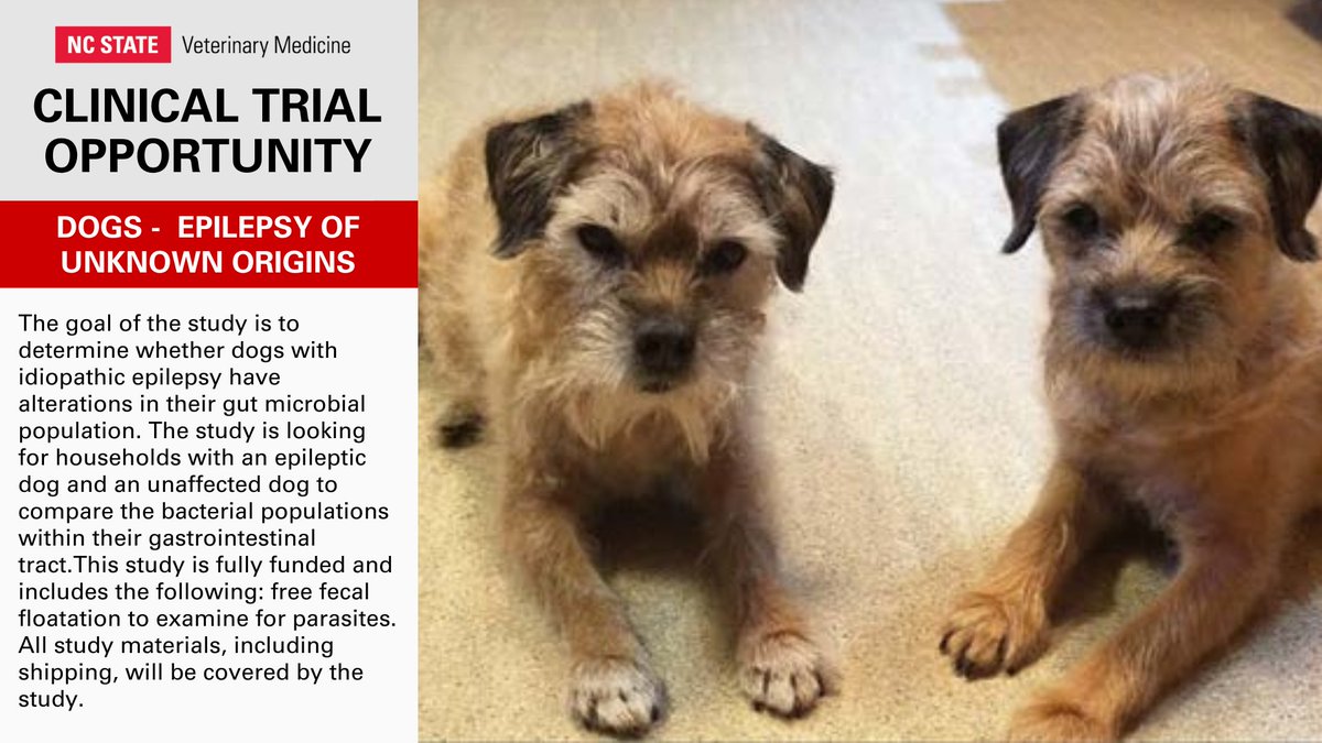 Tweet by NC State Vet Medicine