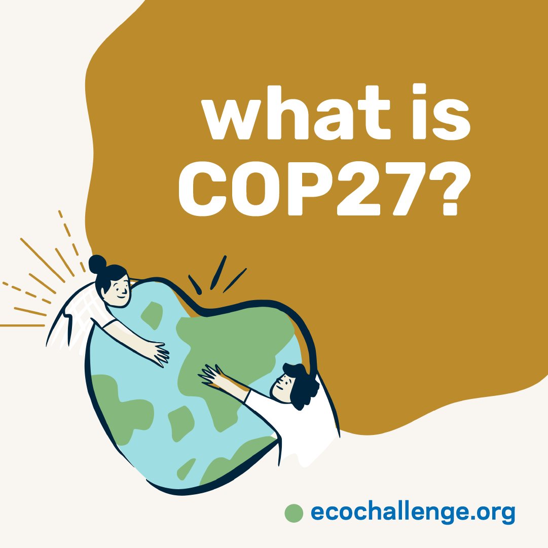 Ecochallenge.org tweet media