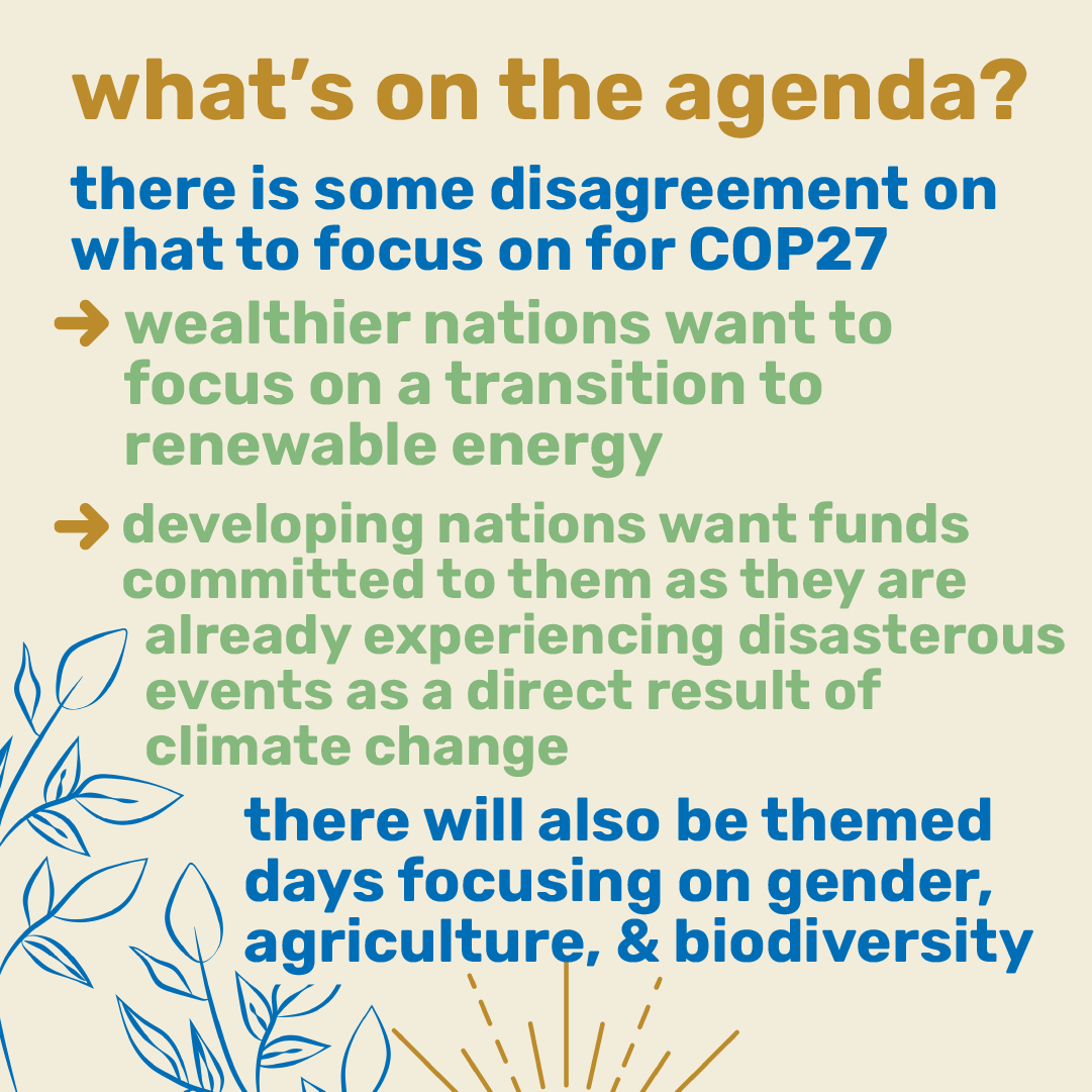 Ecochallenge.org tweet media