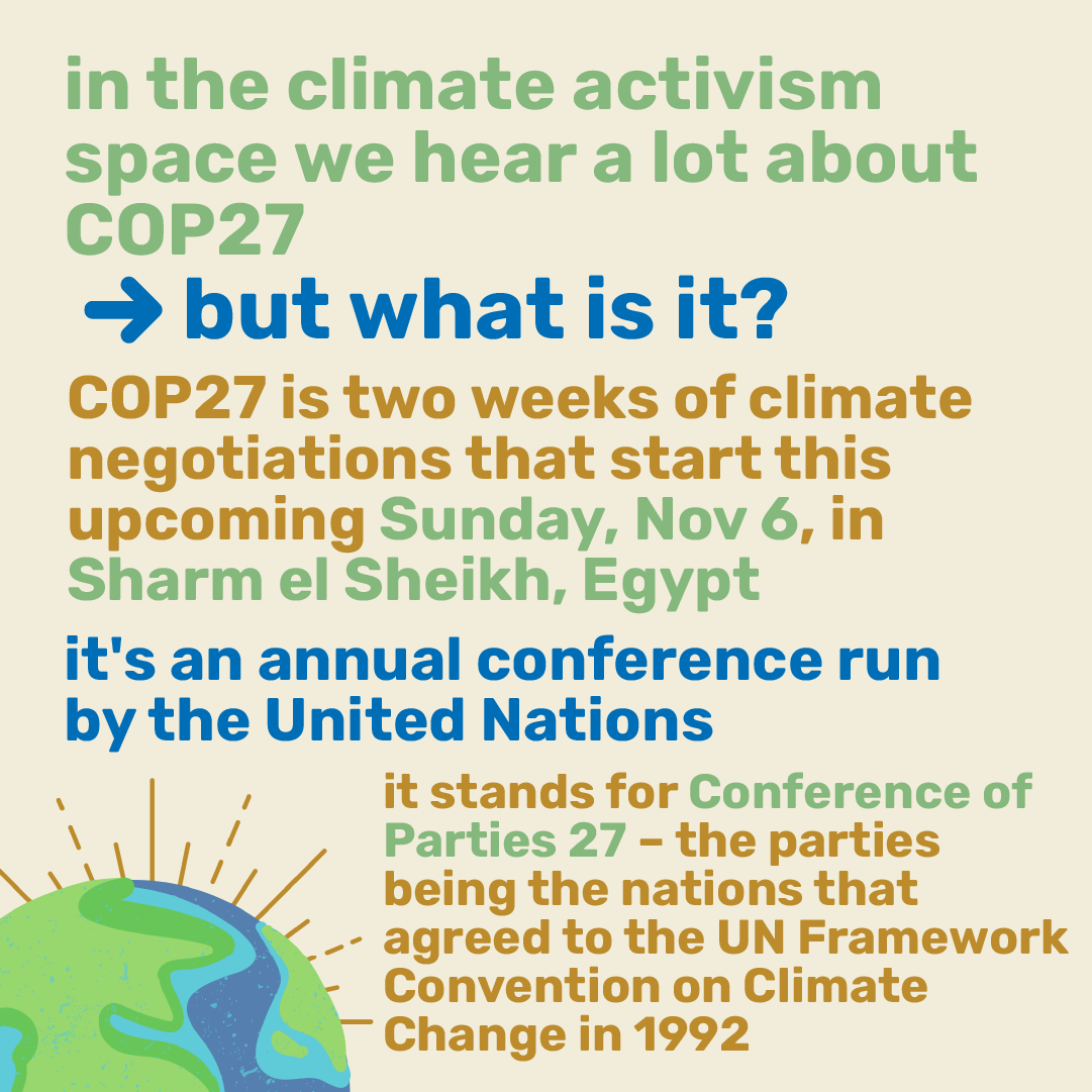 Ecochallenge.org tweet media