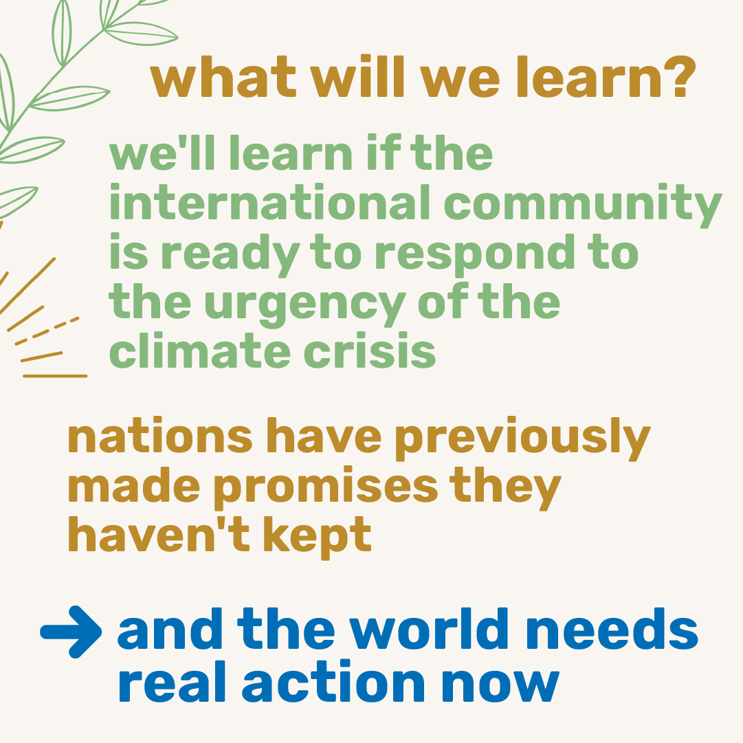 Ecochallenge.org tweet media