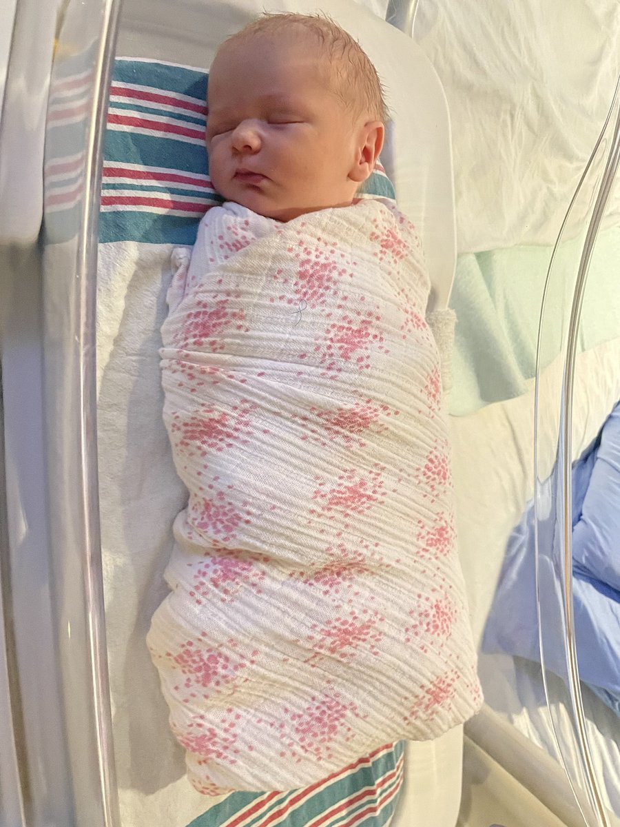 Mike Kelly tweet media