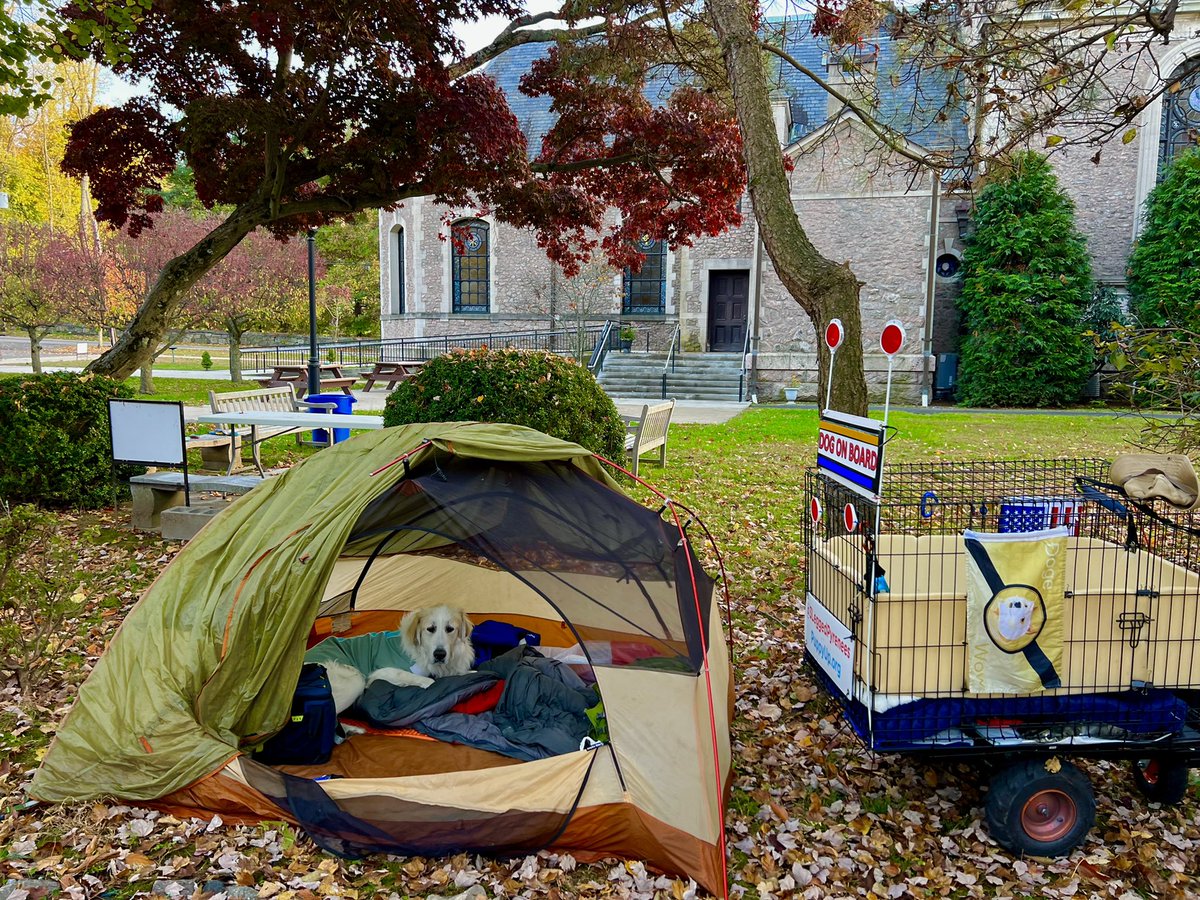 Tenting out at Scarborough Presbyterian Church tonite! 32 miles to Brooklyn Bridge #Walk3 TikTok &amp; FB live from our tent 7pm &amp; 8pm <a href="/3LeggedPyrenees/">Grayson</a>