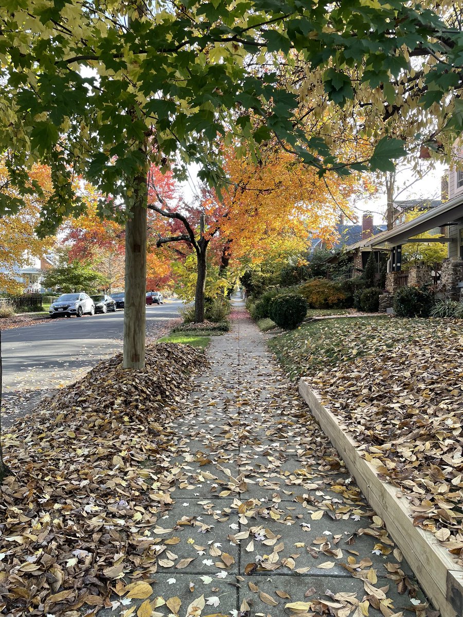 #wellness in #medicine is part system, part individual. If I don’t make individual space for #reflection I can’t #innovate for my #internalmedicine #residency #MedTwitter #MedEd