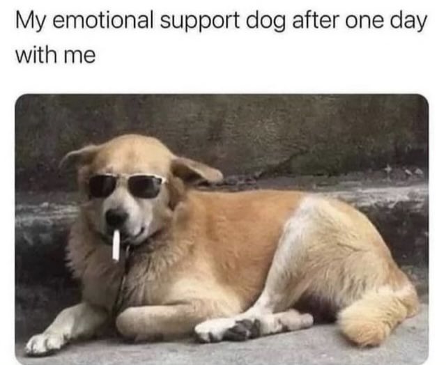 davidcoverdale's tweet image. Yep…😂😂😂😂😂