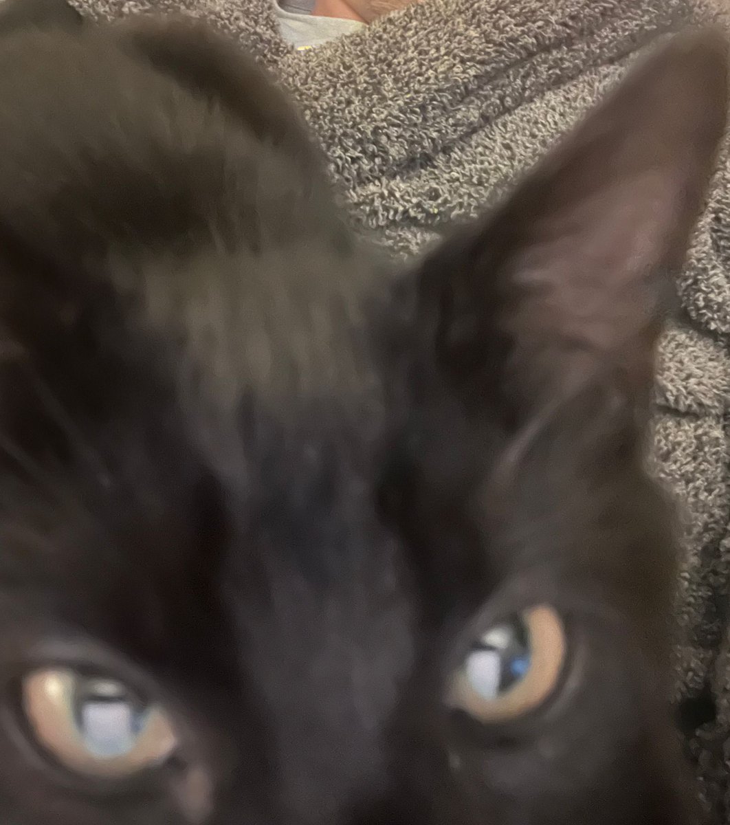 Emma Jade tweet media