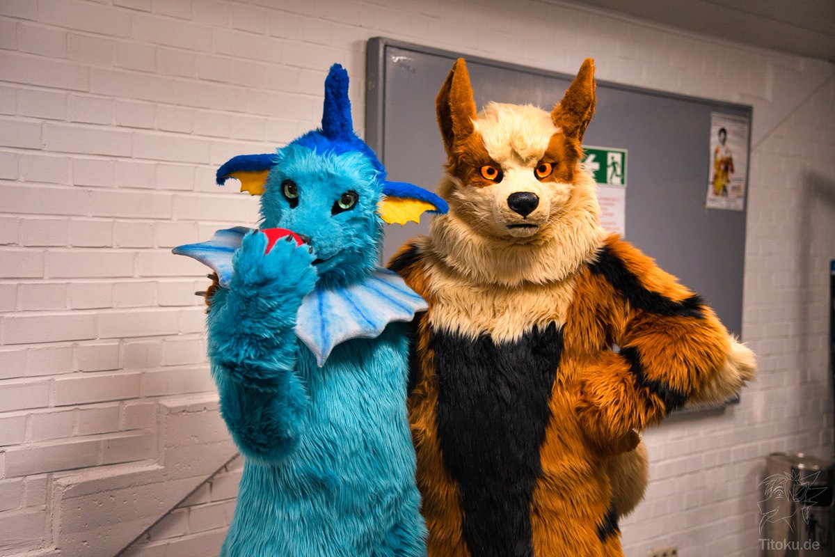 Ha, wanna catch us? I think we're going to turn the tables now. 🌊🔥
🐶🔥  <a href="/That_Tommy_Guy/">Tommy!</a> 
📷 <a href="/TitokuDragon/">Tito'ku 🇩🇪🔜 EAST</a> 
#FursuitFriday #Pokesuits #Vaporeon #Arcanine