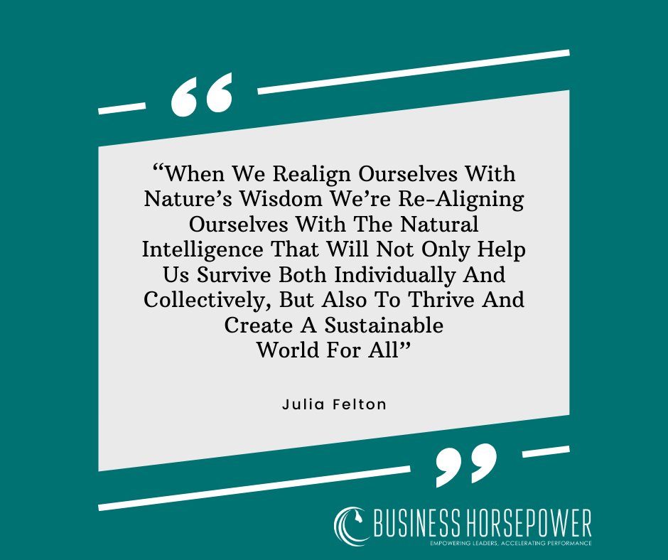 Nature holds such wisdom for us to access - after all its been here for much longer than humanity. What will you learn from nature today?