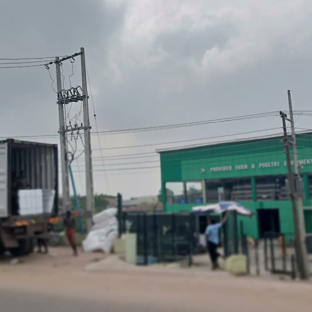 Providerfarmng's tweet photo. Wondering what's going on here?
Yes! You guessed right... 👍

We just received our new consignments(Poultry and Farm Equipment) for you our customer's satisfaction.

Watch out for our new arrivals!!

Quality and Durable Poultry Equipment!

We are here to make your farming easy! https://t.co/sXdx6psKx5