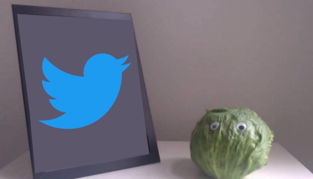 ChrisO_wiki tweet media