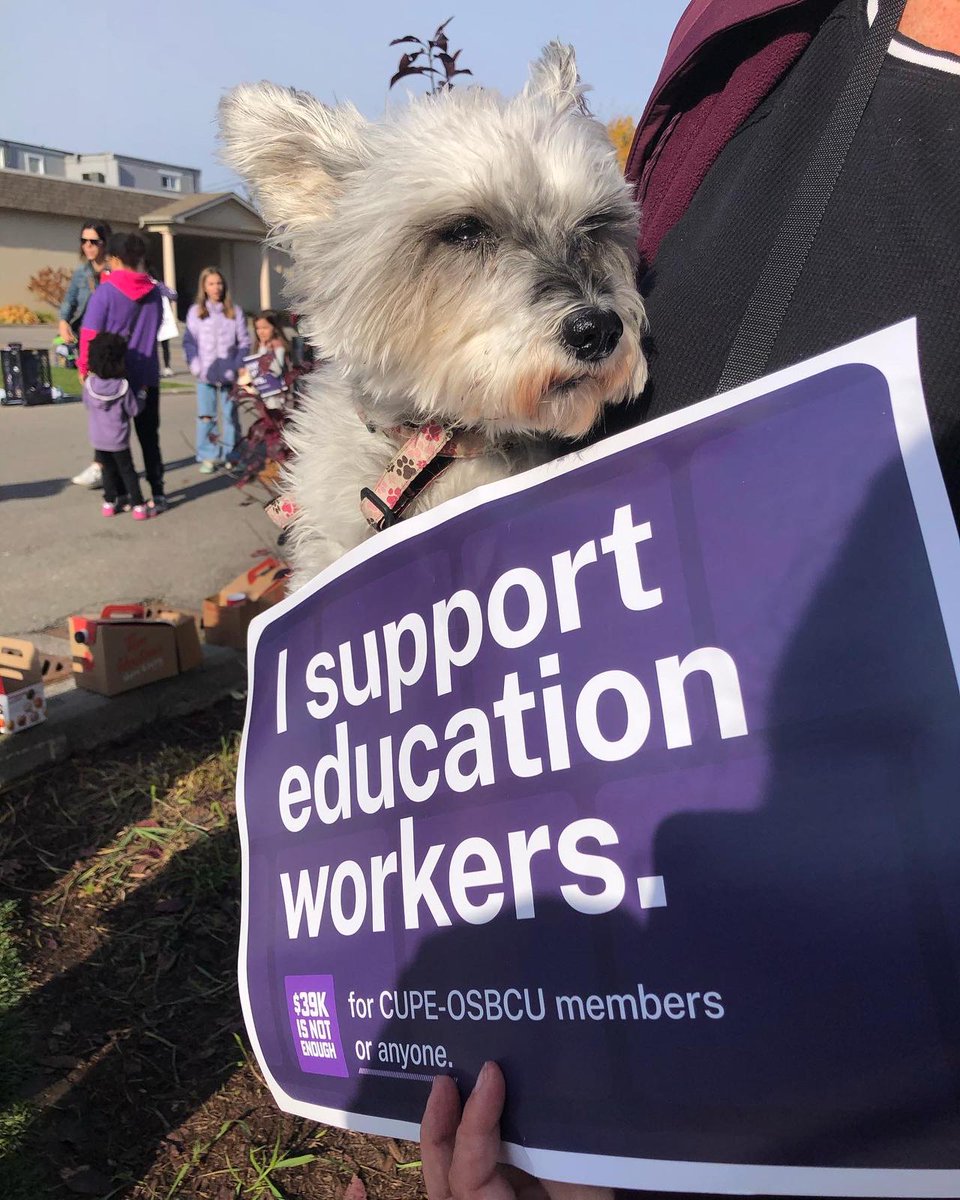 this morning at Queen's Park + my pup (&amp; mom + sister) out in Whitby - solidarity with striking education workers 💜✊