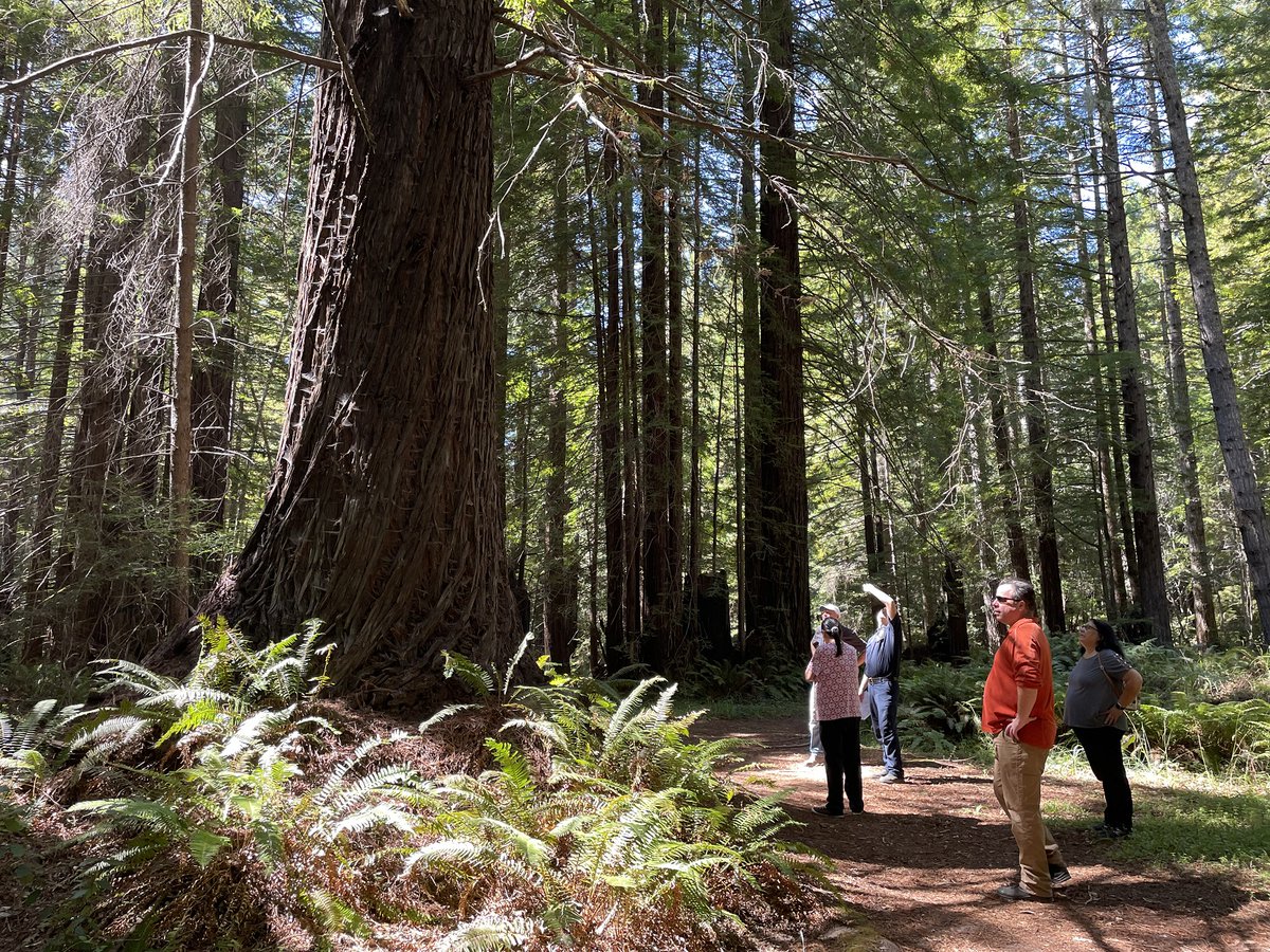 Griffin Goza on Twitter: 