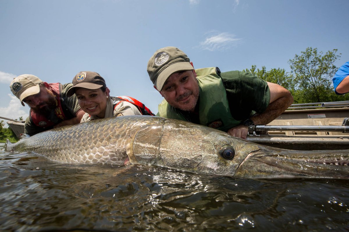 Oklahoma Department of Wildlife Conservation on Twitter "RT USFWS