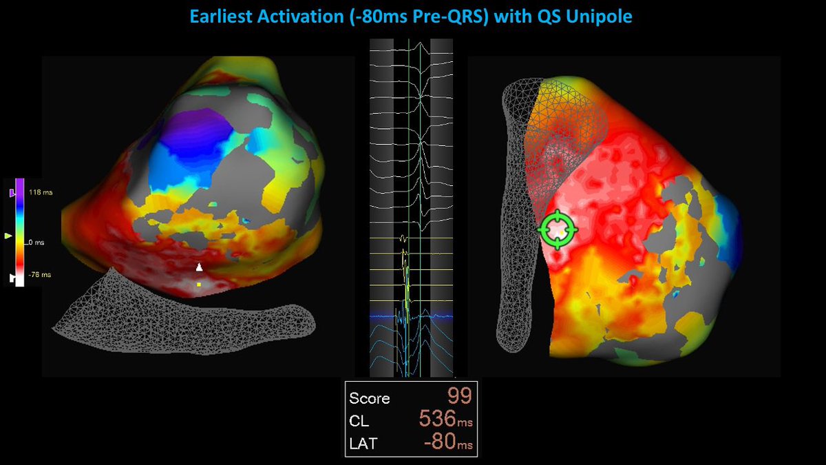 Tanner Hays tweet media