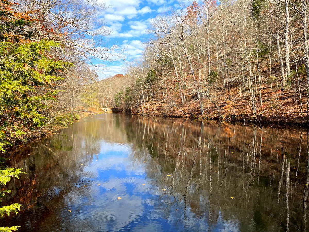 johnrich's tweet photo. Gotta love Tennessee this time of year! And the bass are still bitin’🇺🇸 https://t.co/PllQZKdRSx